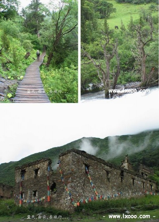 雨雾 四姑娘山