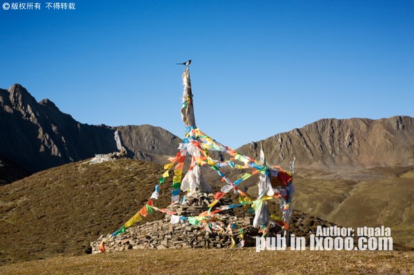 子梅垭口 玛尼堆 经幡 喜鹊 贡嘎神山 照片