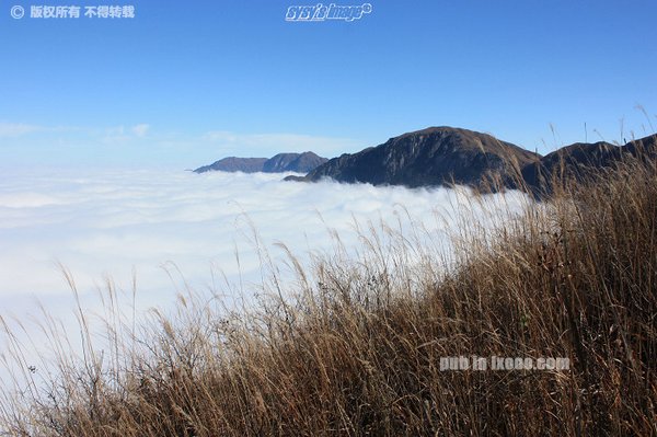 九龙山的云海