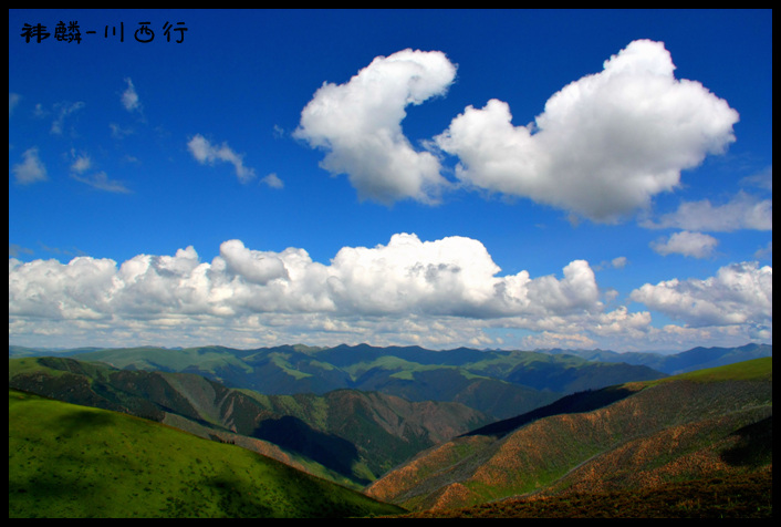 理塘 桌面 美丽 场景